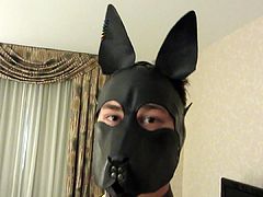 Hood overview