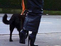 Ladys in Leather (skirt)