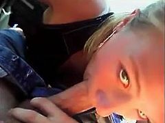 sweet girl having sex in car