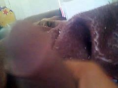 morning wood