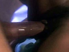 Some mobsters are with a couple of hot women and they are having an orgy. They are into group sex and the babes are getting licking and penetrated in this video.