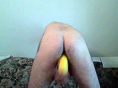 anal slut thong ass fuck squash butt plug Miss Carla's bitch