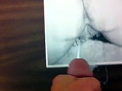 Tribute 1