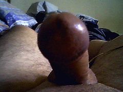 sperme