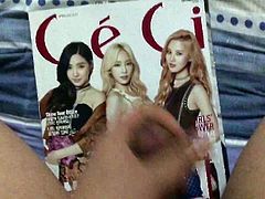 Snsd (T.T.S) cumtribute 1