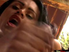 Exotic dark skinned shemale loves bragging with her body. This tranny beauty exposed her scrumptious boobs with yummy nipples and slipped out of her black panties setting free her large shecock...