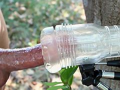 Cock Milking in the sun