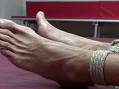 The looser should be fucked but after winning, the muscled stud tied-up Rikk York and torn his clothes. He put a vibrator on his mate's cock and made it hard. After pleasuring him for some time, he got ready to fuck his gay lover's butt hole and screwed hard.