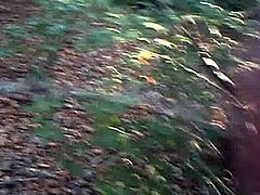 Pinkeln im Wald