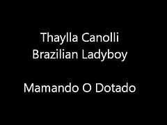 Thaylla Canolli Brazilian Shemale