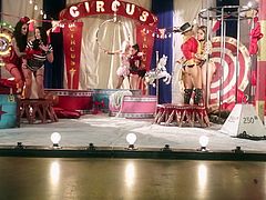 wild circus orgy