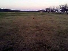 20170212 181852.mp4