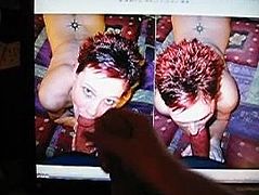 Traci Tribute