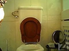 Toilet Secrets 2