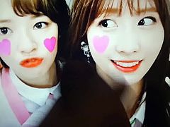 TWICE jeongyeon & momo cum tribute