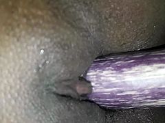 Husband fuck brinjal with wife