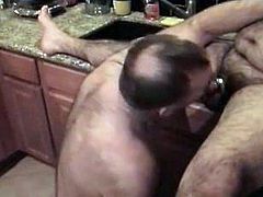 Hot Sexy Bears in the kitchen