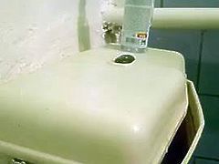 Toilet tank flush