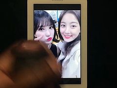 Twice Jihyo & Gfriend Eunha Cum Tribute