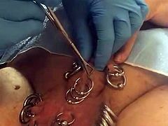 Pierced slavedick new 5 frenulum piercings