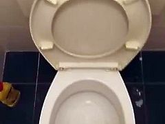 Work toilet cum