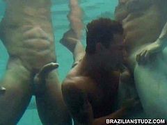 Latinos Ramon Mendez and Denis Mello entice Darrien Leon who innocently attempts to please both Brazilian gods in an impressive underwater dick dance. Its a miracle all three hotties are able to keep their underwater cocks stiffer than a pool stick and engorged like a stuffed Rio de Janeiro red pepper. Cute bottom Darrien then makes his tight ass ready and waiting for the two macho men to fuck. The scene ends on a mirrored dungeon bed, where Ramon crams his big dick into his pleasure seeking b
