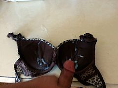 Cum on my Cousin's Bra