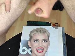 katy perry tribute