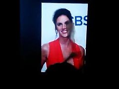 Missy Peregrym
