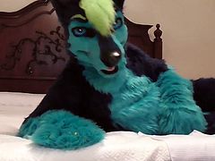 Bedtime Funtime - Fursuit Fun