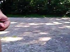 in the wood