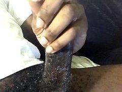 Nice Nut
