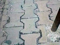 Centara bg
