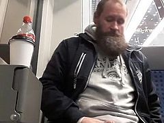 bearded bear cum in train