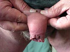 Tin lid and cardboard tube foreskin