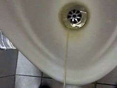 Amo i pisciatoi