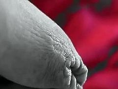 foreskin