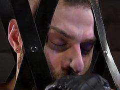This leather net looks ominous, especially if you take into account the fact that getting out of it is almost impossible... Jack Dixonhe acts fast, tough and rude. His sacrifice can only obey... Watch William Crown in kinky leather net gets punished and fucked