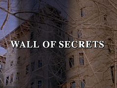 Anne Bedian - ''Wall of Secrets''