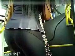 Sexy cat getting on the bus