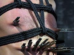 Wow! I haven't come across anything really special and interesting for a long time, and finally, luck! If you like gay bondage with intense SM & hardcore sex, I advise you to pay attention to this kinky video.