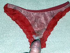 cumming on wife used panties