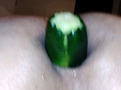 Fucking my ass with a cucumber