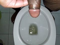 Desi Piss - Guy Pissed In Washroom