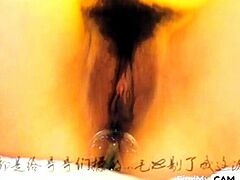 Chinese Amateur Girl Vaginal Orgasm on Webcam