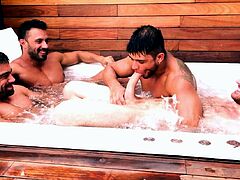 Homosexuals Video